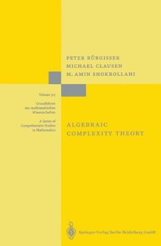 portada Algebraic Complexity Theory (Grundlehren der Mathematischen Wissenschaften) (en Inglés)