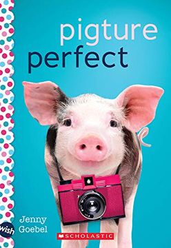 portada Pigture Perfect (Wish) (in English)