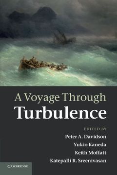 portada A Voyage Through Turbulence (en Inglés)