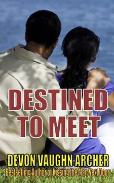 portada Destined to Meet (en Inglés)