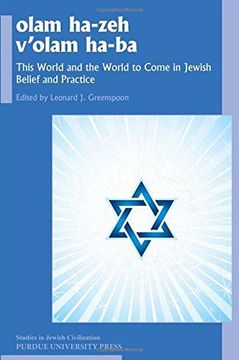 portada Olam He-Zeh V'olam Ha-Ba: This World and the World to Come in Jewish Belief and Practice (Studies in Jewish Civilization)