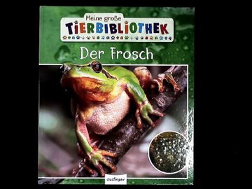 portada Der Frosch. Meine Große Tierbibliothek. Sachbuch für Vorschule & Grundschule. (in German)