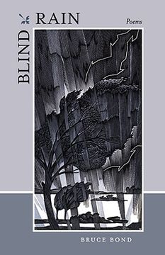 portada blind rain: poems (en Inglés)