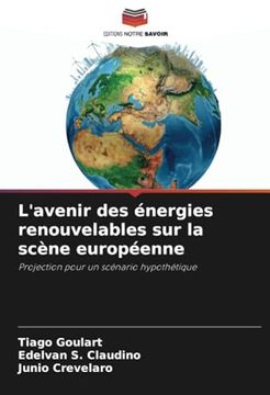 portada L'avenir des Énergies Renouvelables sur la Scène Européenne (en Francés)