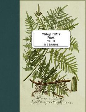 portada Vintage Prints: Ferns: Vol. 10