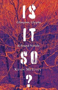 portada Is It So? Glimpses, Glyphs, & Found Novels (in English)