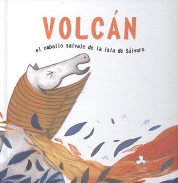 portada Volcan, el Caballo Salvaje de la Isla de Salvora (Cartone)