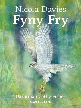 portada Fyny fry (in Welsh)