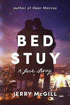 portada Bed Stuy: A Love Story (in English)