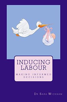 portada Inducing Labour: Making Informed Decisions (en Inglés)