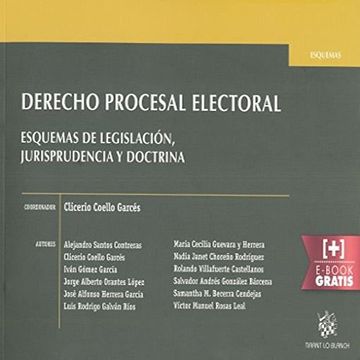 portada Derecho Procesal Electoral Esquemas de Legislación, Jurisprudencia y Doctrina (Esquemas -México-) (in Spanish)