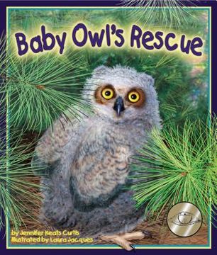 Baby Owl's Rescue (en Inglés)