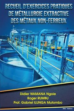 portada Recueil d exercices pratiques de metallurgie extractive des metaux non-ferreux (en Francés)