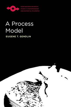 portada A Process Model (Studies in Phenomenology and Existential Philosophy) (en Inglés)