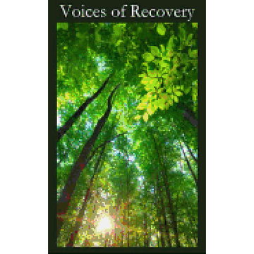 portada Voices of Recovery (en Inglés)