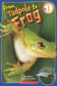 portada Scholastic Reader Level 1: From Tadpole to Frog (en Inglés)