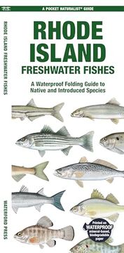 portada Rhode Island Freshwater Fishes: A Waterproof Folding Guide to Native and Introduced Species