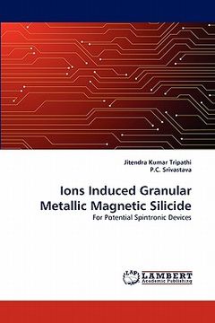 portada ions induced granular metallic magnetic silicide