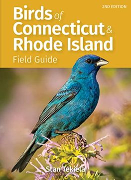 portada Birds of Connecticut & Rhode Island Field Guide (Bird Identification Guides) (en Inglés)
