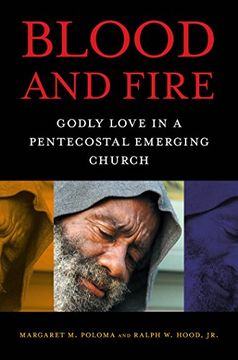 portada Blood and Fire: Godly Love in a Pentecostal Emerging Church (en Inglés)
