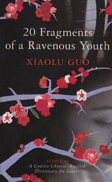 portada 20 Fragments of a Ravenous Youth (en Inglés)