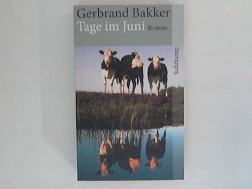 portada Tage im Juni: Roman. Aus dem Niederländ. Von Andreas Ecke / Suhrkamp Taschenbuch; 4251 (en Alemán)