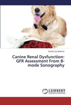 portada Canine Renal Dysfunction: Gfr Assessment from B-Mode Sonography