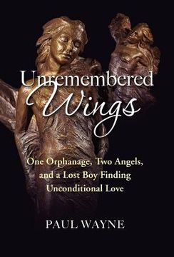 portada unremembered wings (in English)