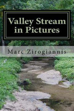 portada Valley Stream in Pictures: Summer Edition (en Inglés)