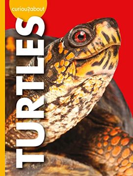 portada Curious About Turtles (Curious About Pets) (in English)
