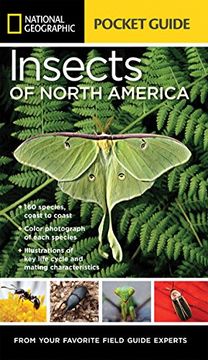 portada National Geographic Pocket Guide to Insects of North America (en Inglés)