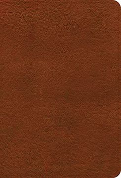 portada Nasb Large Print Compact Reference Bible, Burnt Sienna Leathertouch, red Letter, Presentation Page, Cross-References, Full-Color Maps, Easy-To-Read Bible Karmina Type (in English)