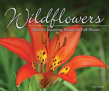 portada Wildflowers: Nature's Stunning Beauty on Display (Nature Appreciation) (in English)