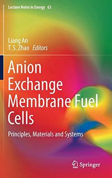 Libro Anion Exchange Membrane Fuel Cells: Principles, Materials And 