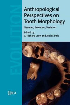 portada Anthropological Perspectives on Tooth Morphology: Genetics, Evolution, Variation (Cambridge Studies in Biological and Evolutionary Anthropology, Series Number 66) (en Inglés)