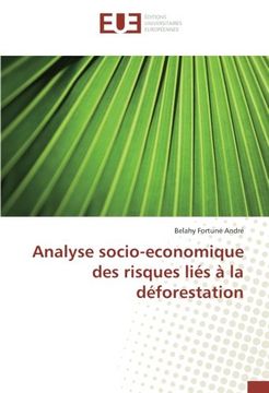 portada Analyse socio-economique des risques liés à la déforestation