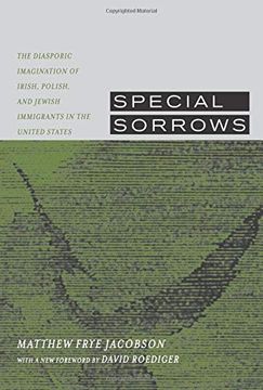 portada Special Sorrows: The Diasporic Imagination of Irish, Polish, and Jewish Immigrants in the United States, With a new Foreword by David r (en Inglés)
