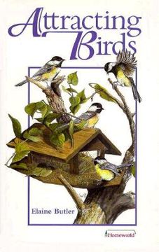 portada attracting birds (en Inglés)