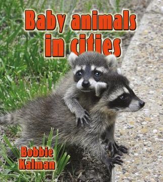 portada baby animals in cities (en Inglés)