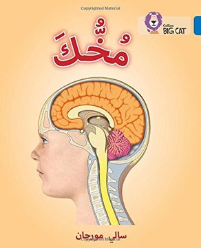 portada Your Brain: Level 16 (en Árabe)