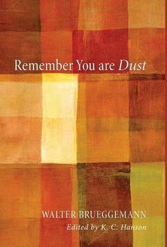 portada Remember you are Dust (en Inglés)