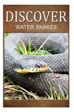 portada Water Snake - Discover: Early reader's wildlife photography book (en Inglés)