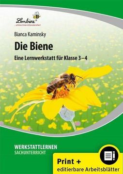 portada Die Biene. Grundschule, Sachunterricht, Klasse 3-4 (en Alemán)
