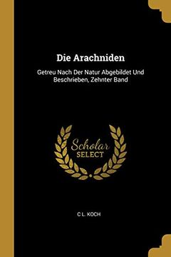 portada Die Arachniden: Getreu Nach Der Natur Abgebildet Und Beschrieben, Zehnter Band (en Alemán)