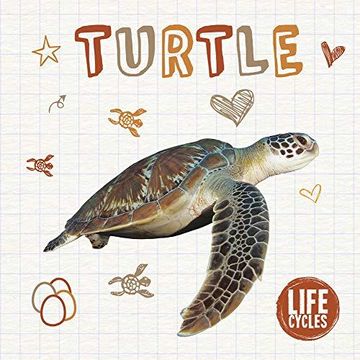 portada Turtle (Life Cycles) 