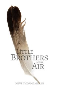 portada Little Brothers of the Air