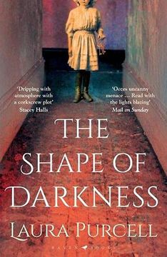 portada The Shape of Darkness: The Perfect Spooky Read for Halloween (in English)