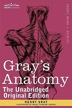 portada gray`s anatomy