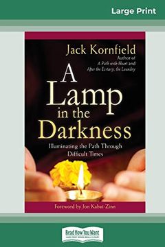 portada A Lamp in the Darkness: Illuminating the Path Through Difficult Times (in English)