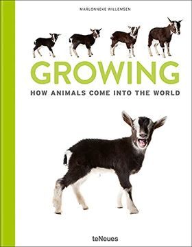 portada Growing: How Animals Come Into our World (en Inglés)